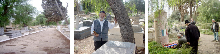 Le cimetière d'Oran